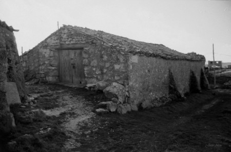 La Cima, Año 1995